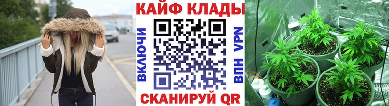 Каннабис Кизилюрт
