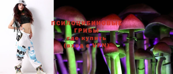 мяу мяу мука Чекалин