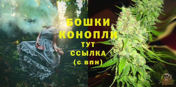 ГАЛЛЮЦИНОГЕННЫЕ ГРИБЫ Верхний Тагил