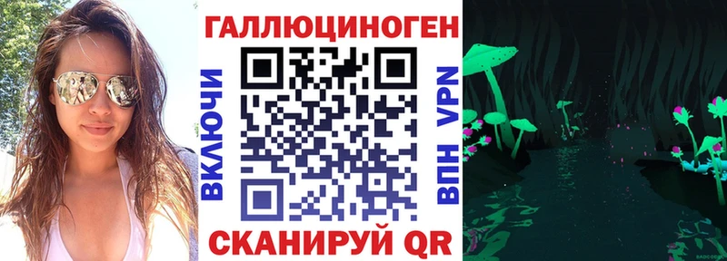 Галлюциногенные грибы Psilocybe  цены наркотик  площадка как зайти  Кизилюрт 