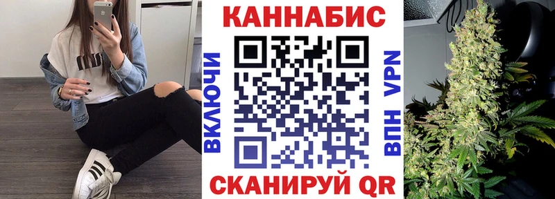 omg вход  маркетплейс как зайти  Шишки марихуана THC 21%  Кизилюрт 